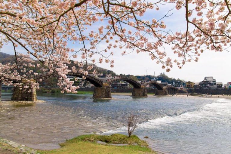 Iwakuni Highlights by Bullet Train - Japan Shore Excursions