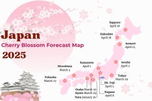 Japan Cherry Blossom Season 2025 - Best Places to See Sakura in Japan