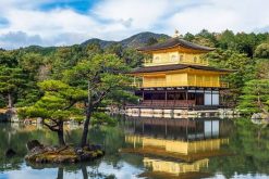 Kinkakuji-Temple-Golden-pavillion-kyoto-shore-excursions