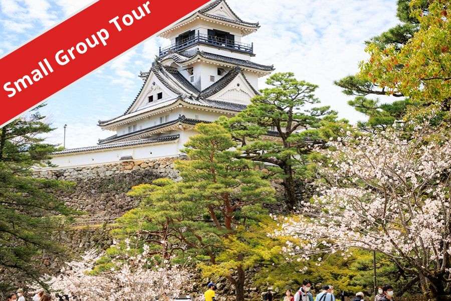 Kochi Highlights Tour- Japan shore excursions