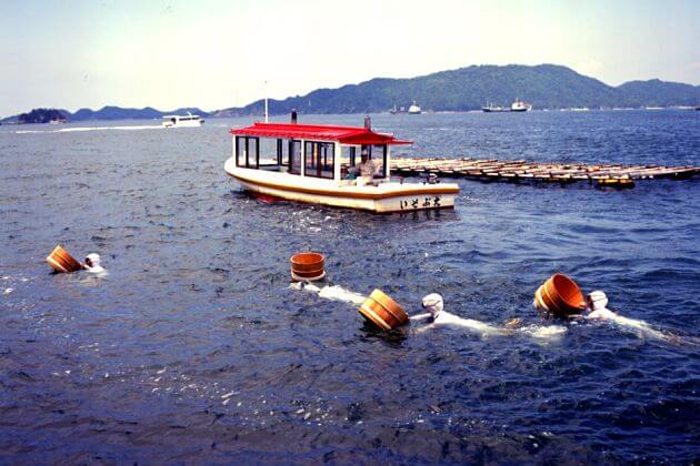 Ise Shrine & Mikimoto Pearl Island - Japan Shore Excursions