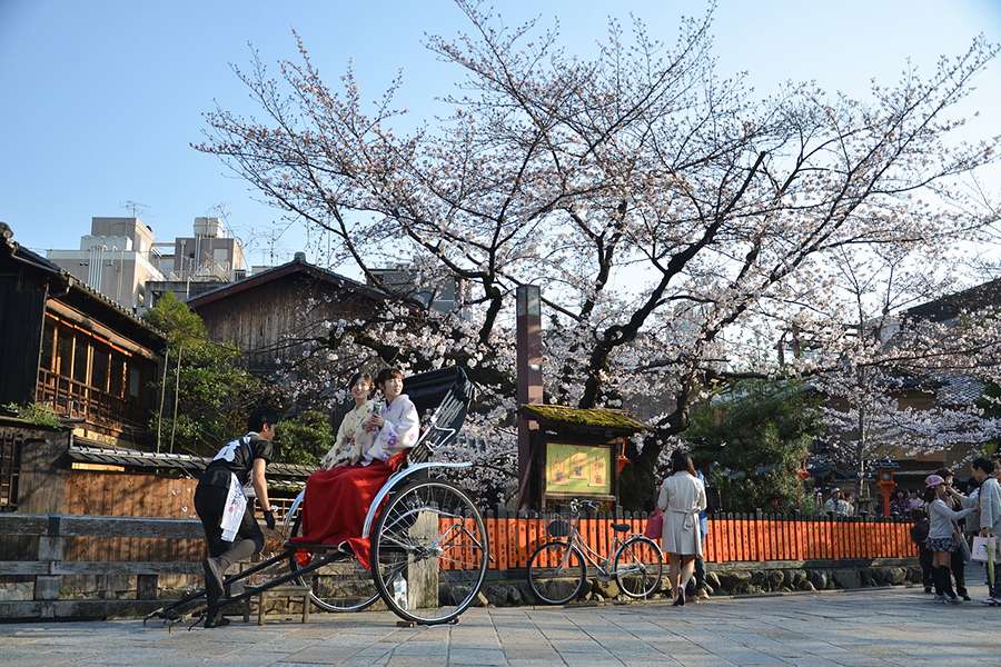 Spring season in Japan - Japan shore excursions